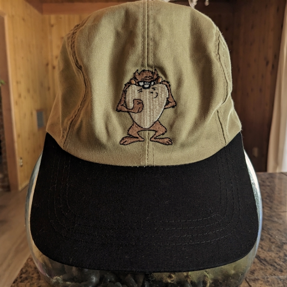 Vintage Taz Looney Tunes Warner Bros 1994 Cap Hat
